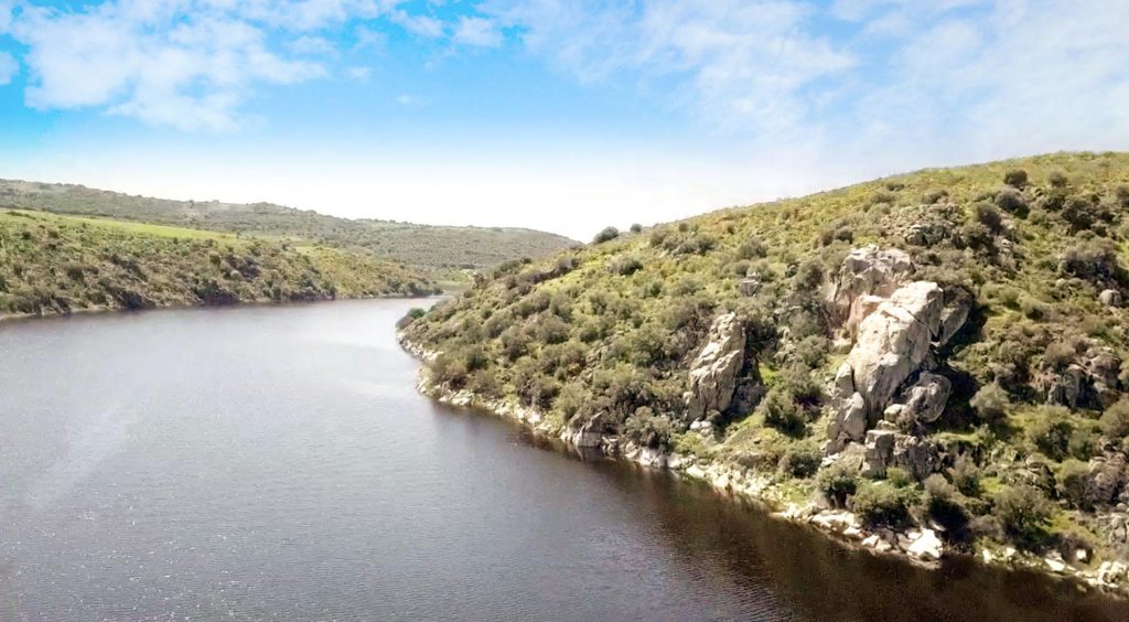 salto_de_la_rana_1